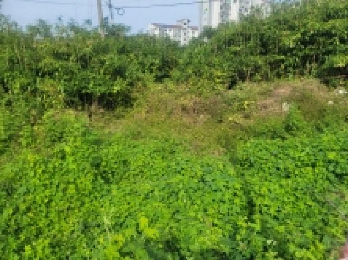 물건 사진 21