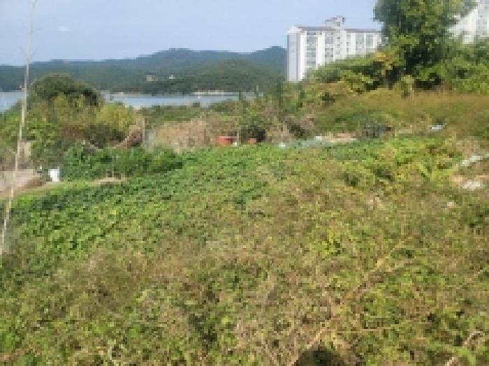 물건 사진 25