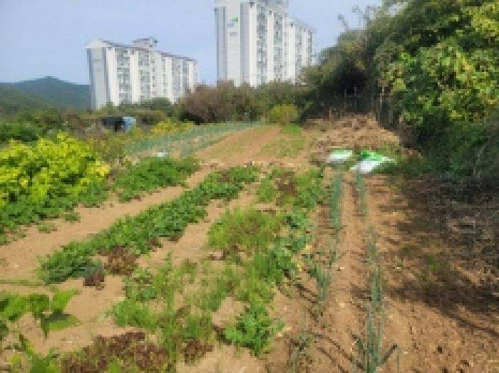 물건 사진 27