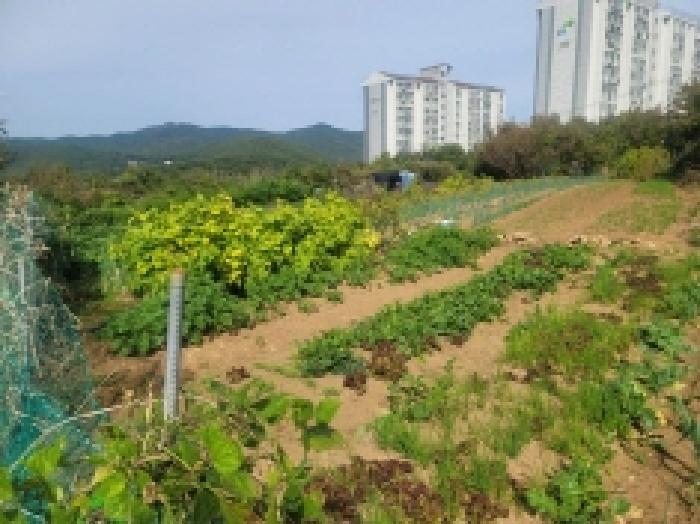 물건 사진 28