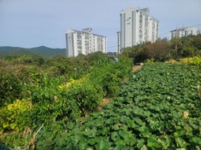물건 사진 30