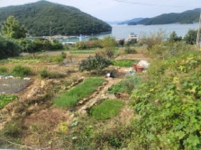 물건 사진 4