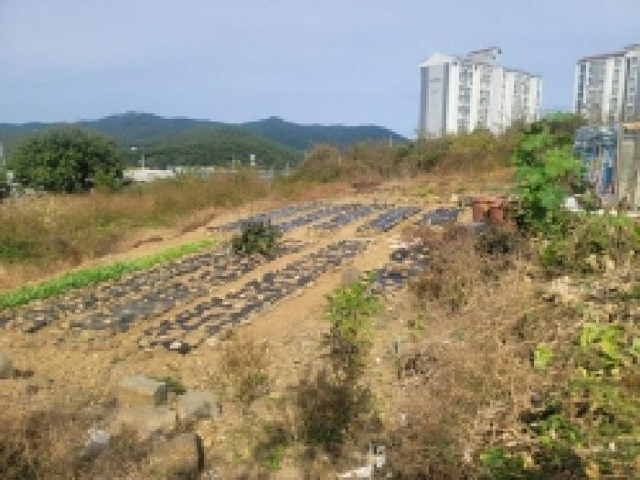 물건 사진 35