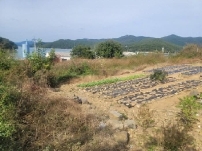 물건 사진 36