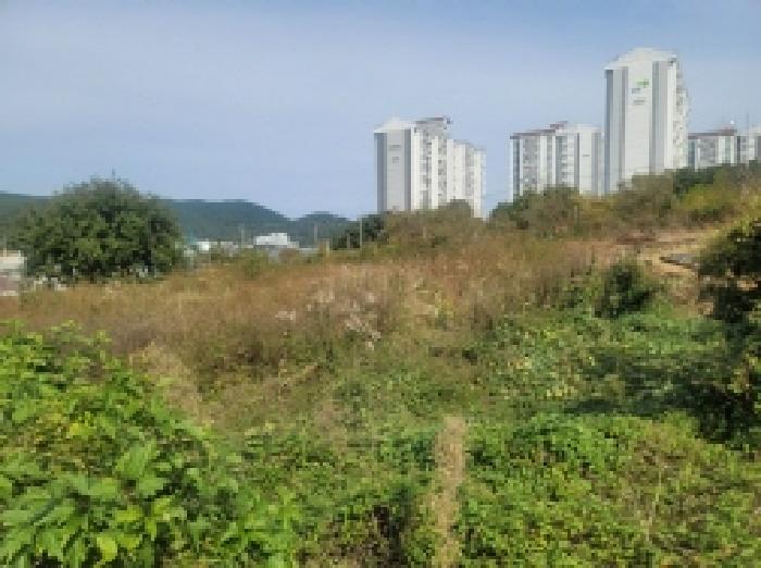 물건 사진 39
