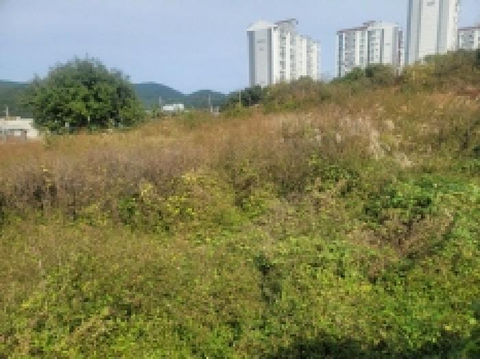 물건 사진 40
