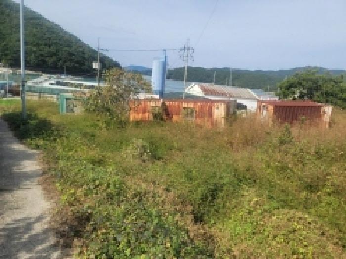 물건 사진 41