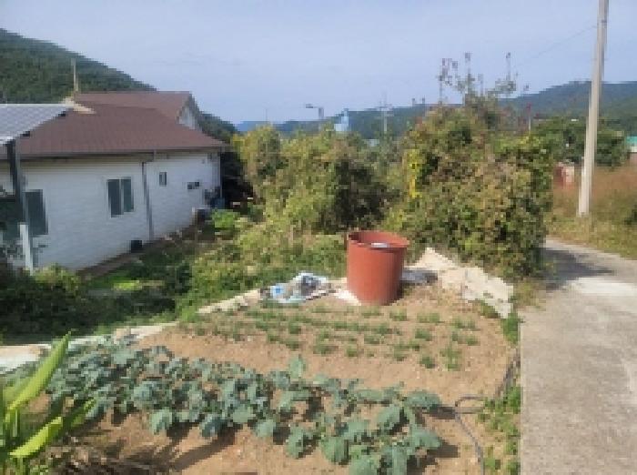 물건 사진 43