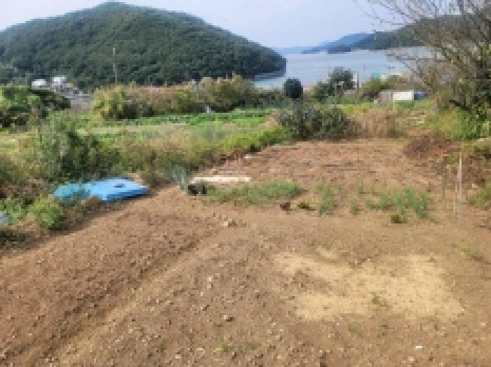 물건 사진 7