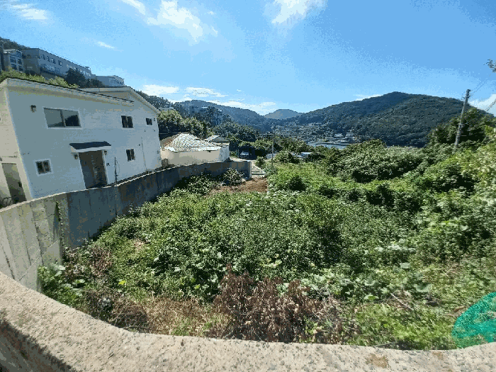 물건 사진 65