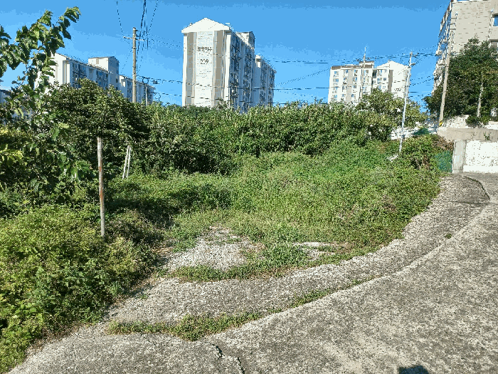물건 사진 66