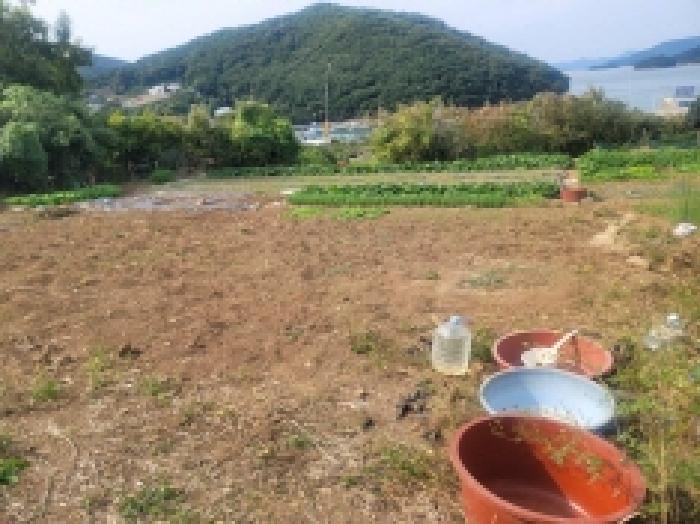 물건 사진 8
