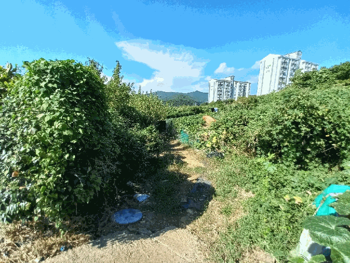 물건 사진 79