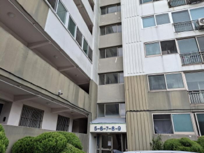 물건 사진 1