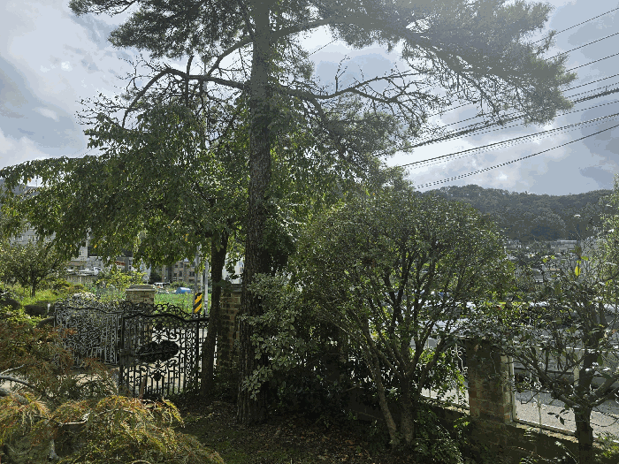 물건 사진 17