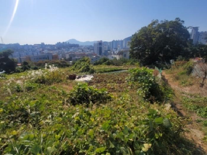물건 사진 15