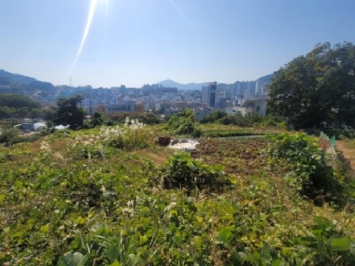 물건 사진 16