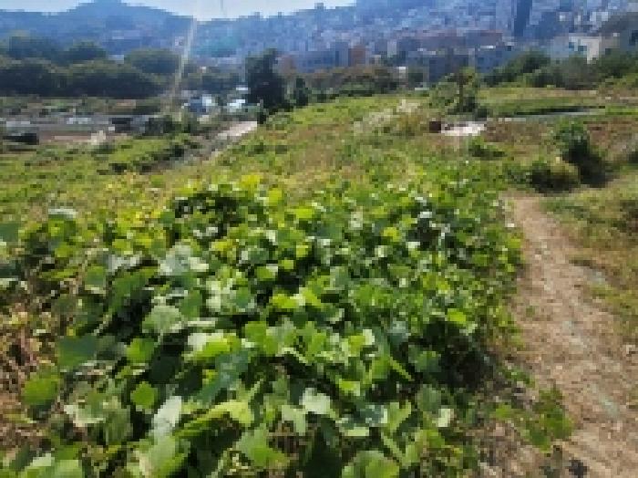 물건 사진 17