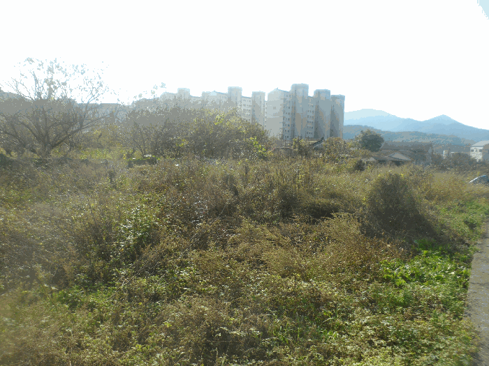 물건 사진 11