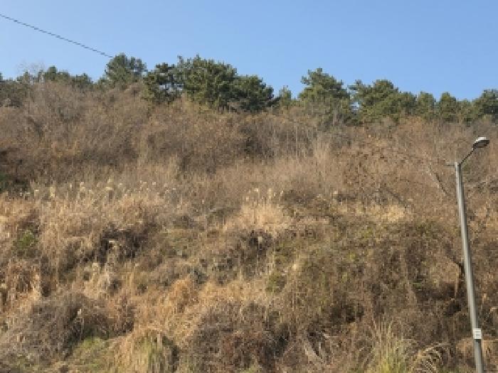 물건 사진 2