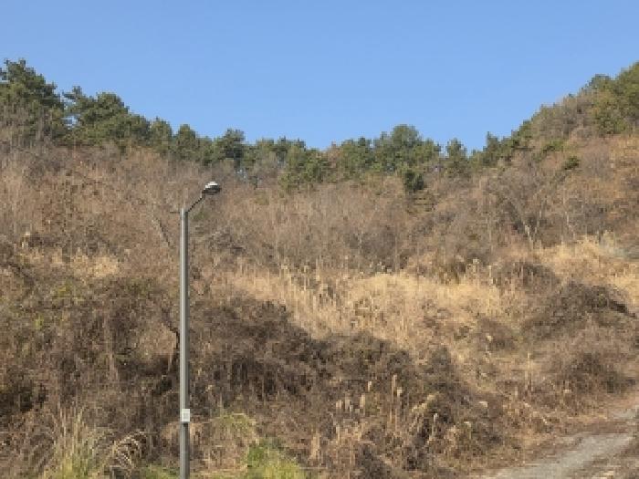 물건 사진 3