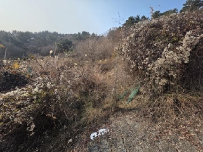 물건 사진 4
