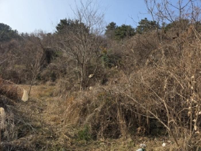 물건 사진 7