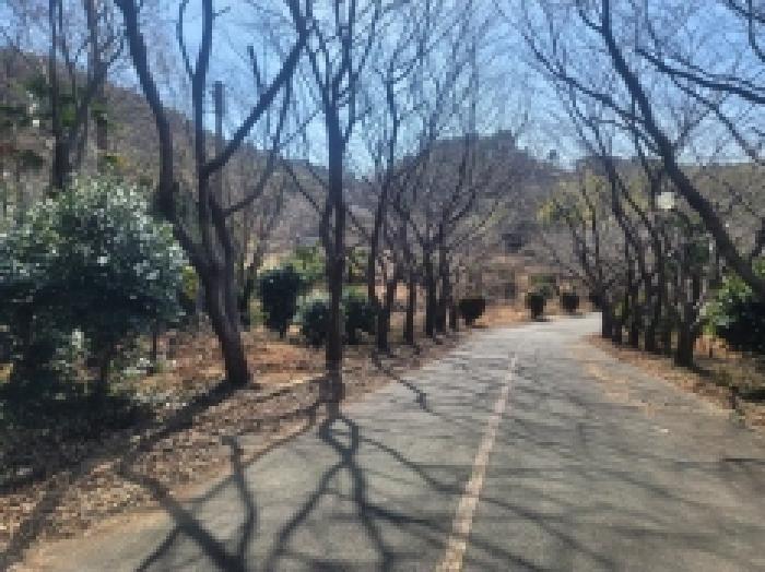 물건 사진 18