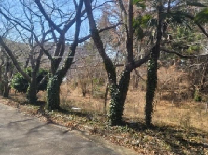 물건 사진 19
