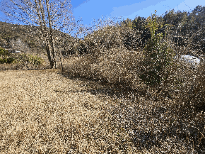 물건 사진 32
