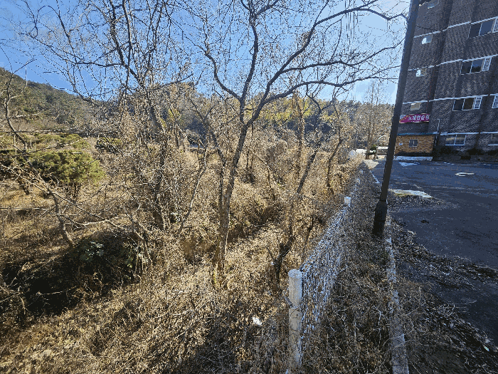 물건 사진 40