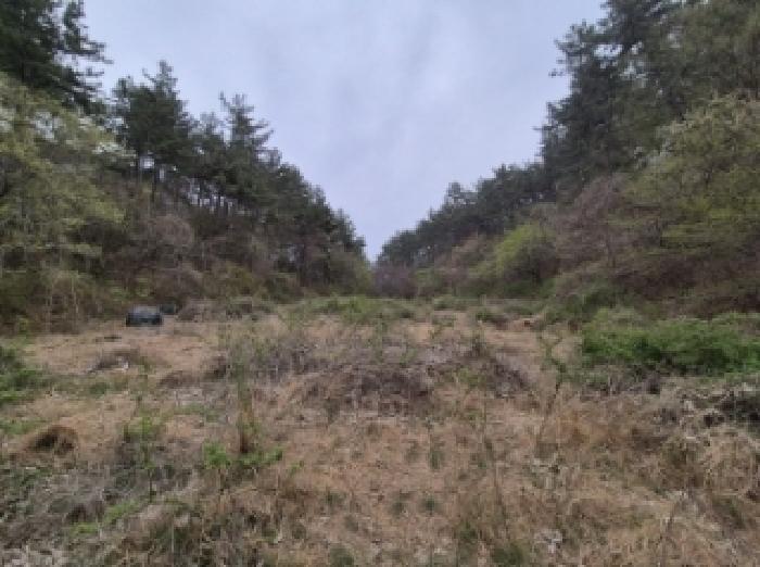 물건 사진 2