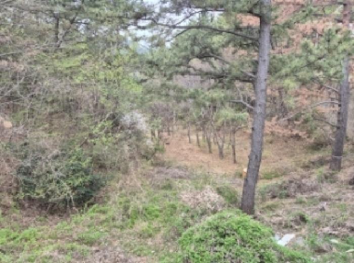 물건 사진 28