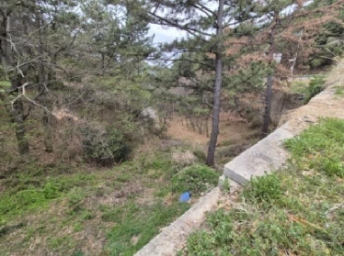 물건 사진 30