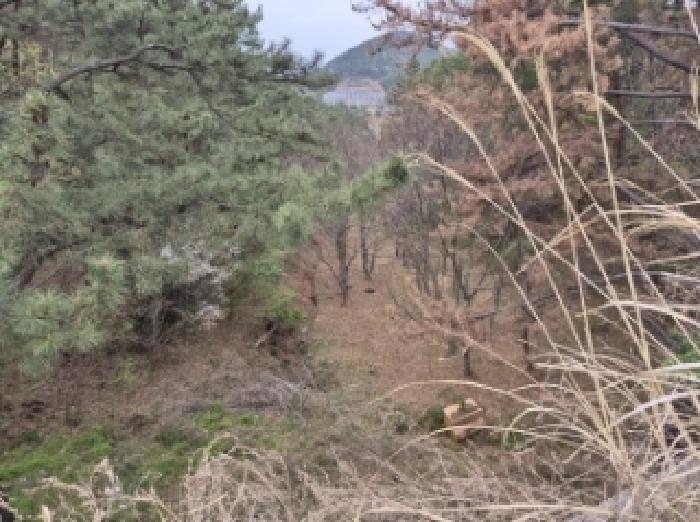 물건 사진 31