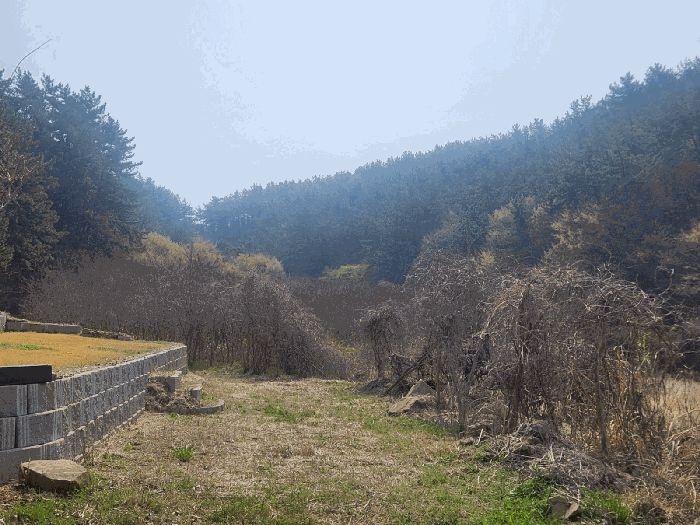 물건 사진 45