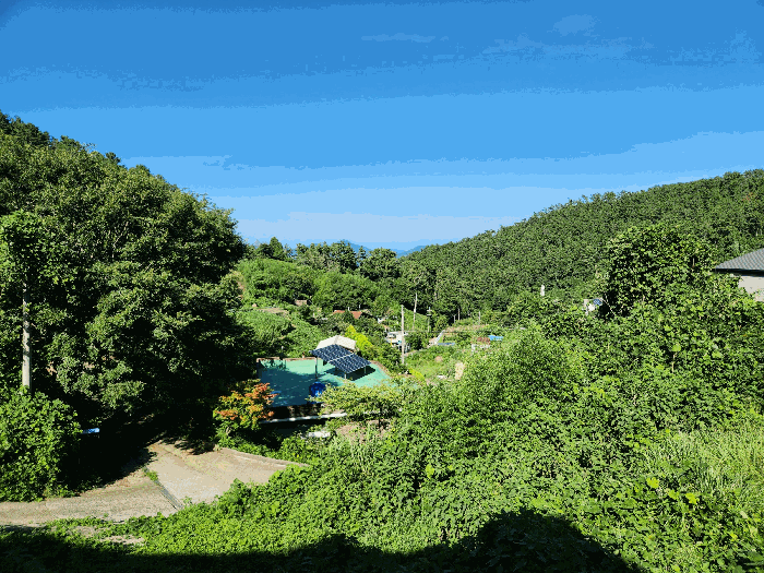 물건 사진 12