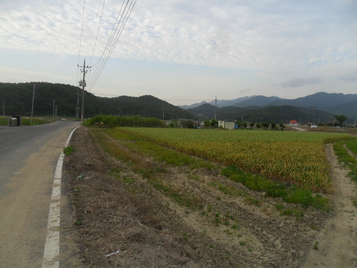 물건 사진 24
