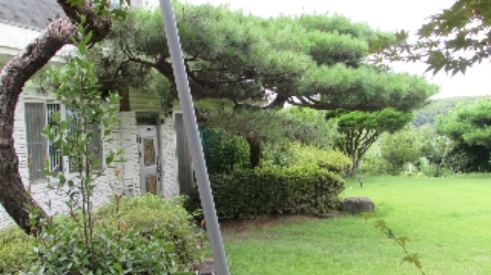 물건 사진 9