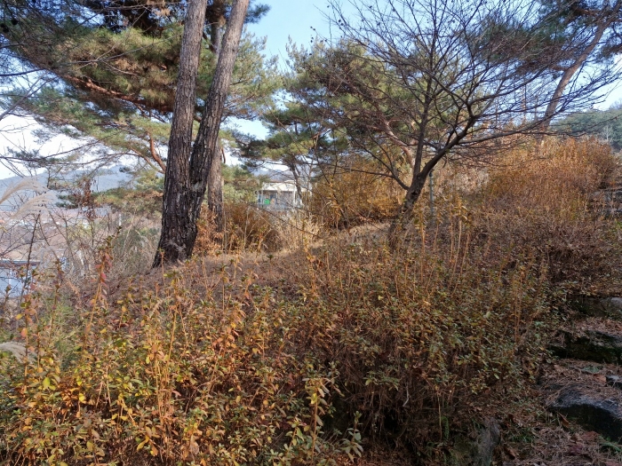 물건 사진 30