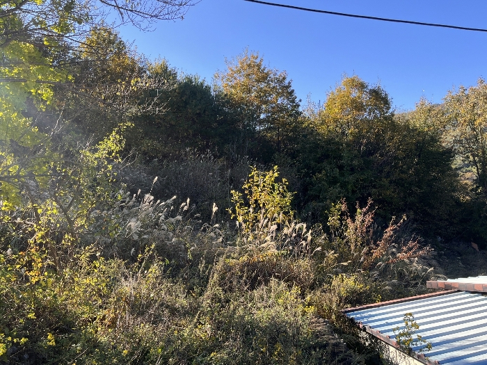 물건 사진 21