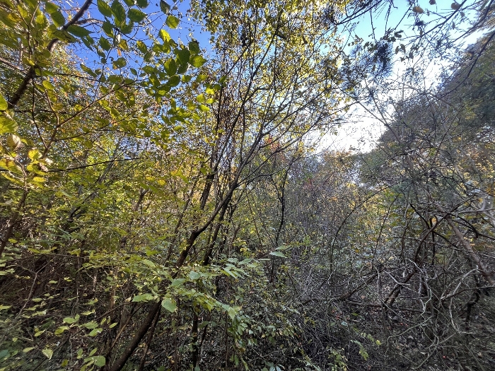물건 사진 27