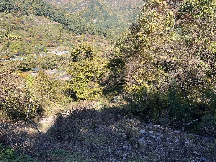 물건 사진 30