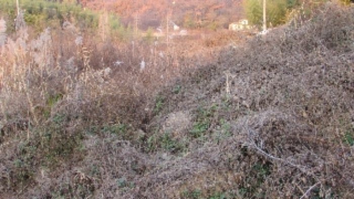 물건 사진 23