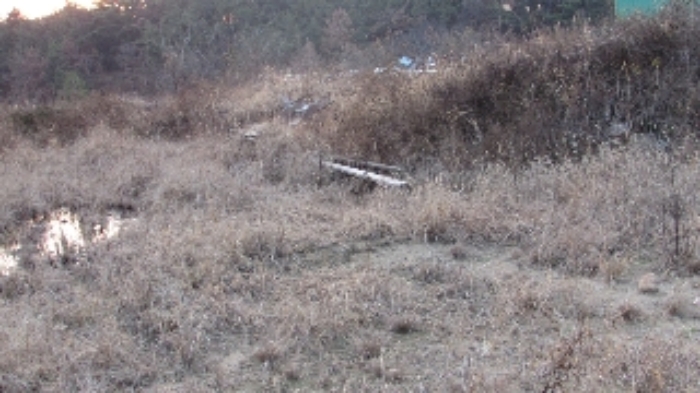 물건 사진 30