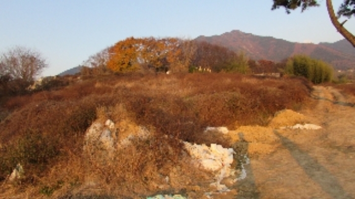 물건 사진 10