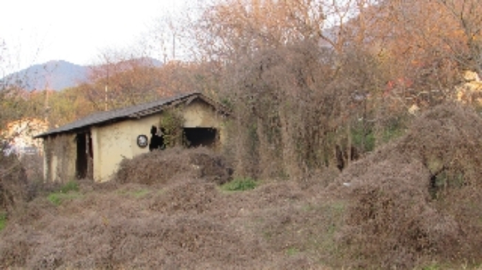물건 사진 11