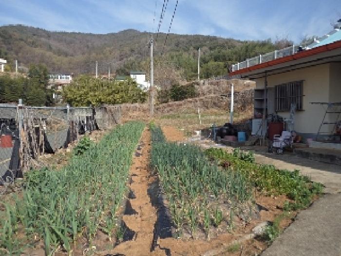 물건 사진 8