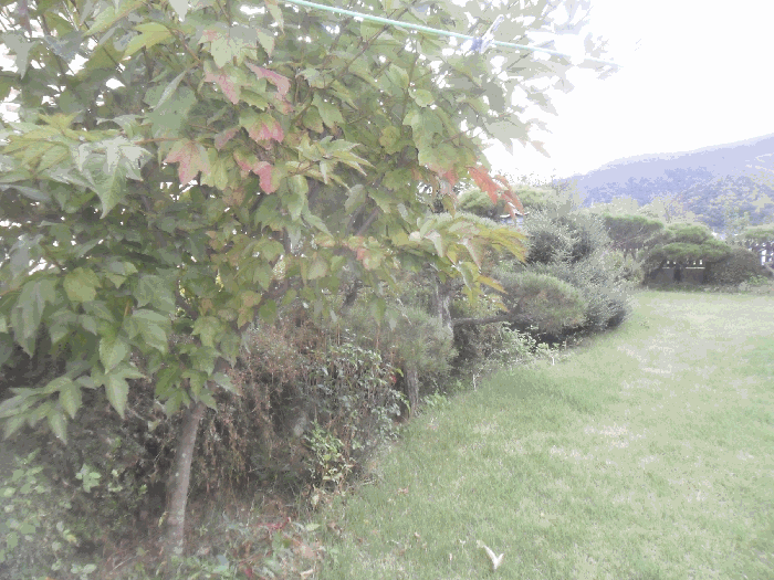 물건 사진 14