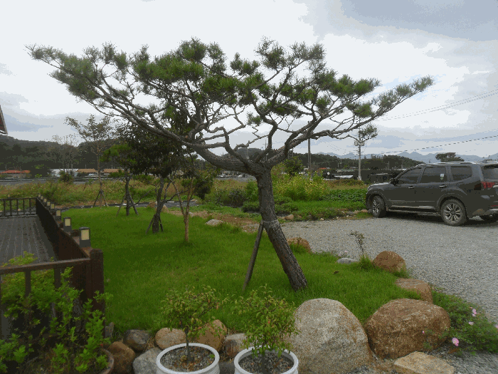 물건 사진 19